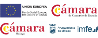Servicio Público de Empleo Estatal